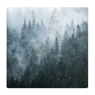 Podložka pod křeslo Mlžný jehličnatý les