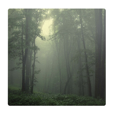 Podložka pod židli Mlžný les za úsvitu