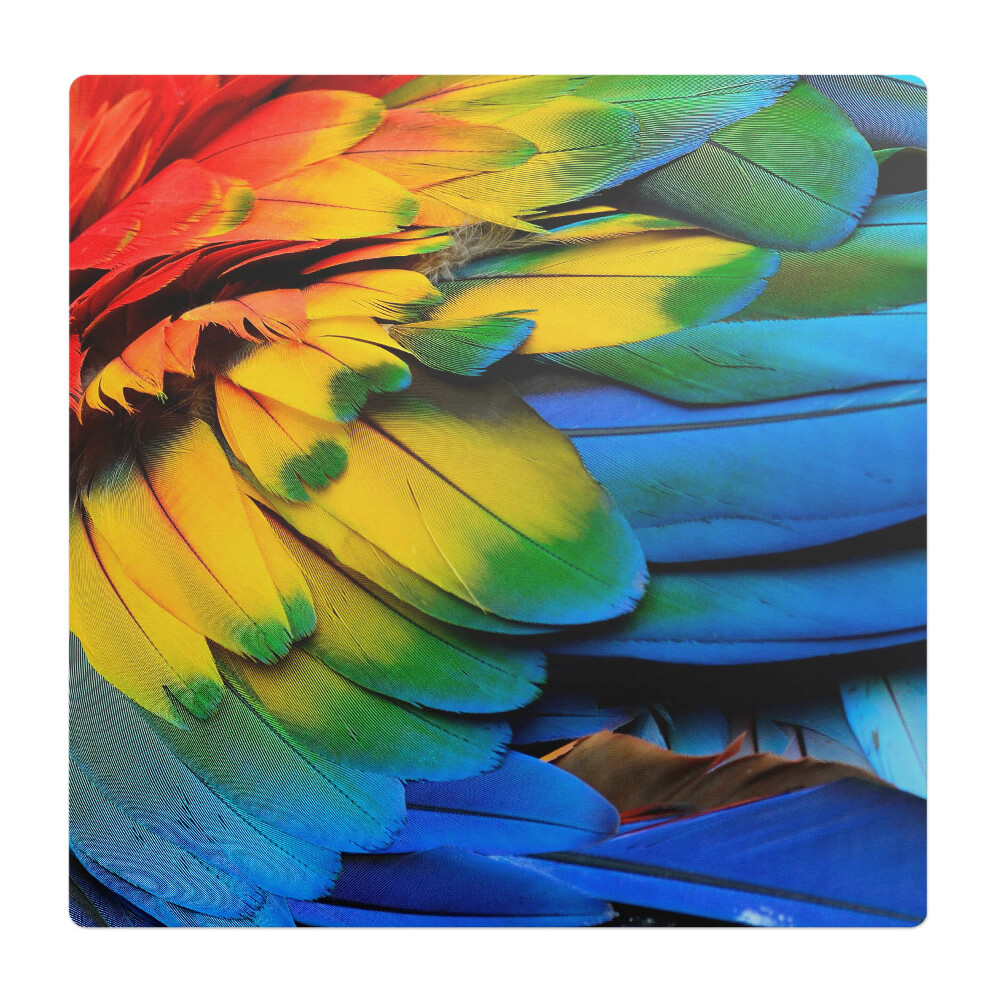 Ochranná podložka na podlahu Barevné papouščí peří