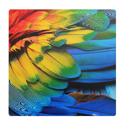 Ochranná podložka na podlahu Barevné papouščí peří