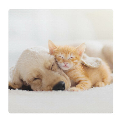 Podložka pod křeslo Sladký sen o zvířatech