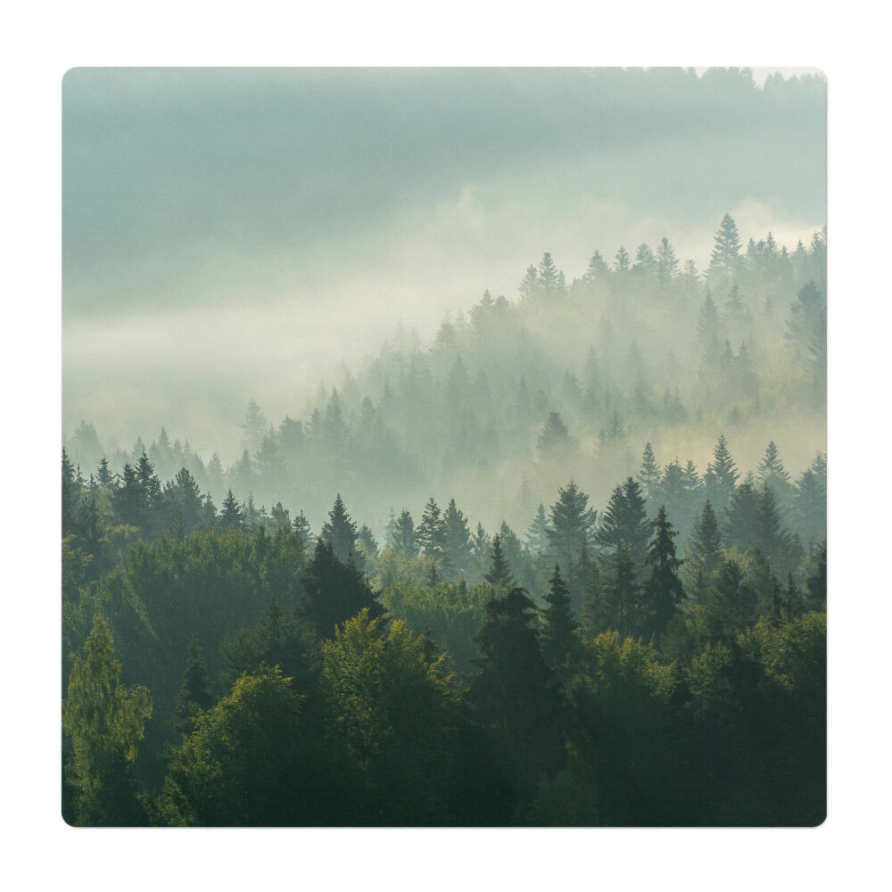 Ochranná podložka pod židli Mlžný les za úsvitu