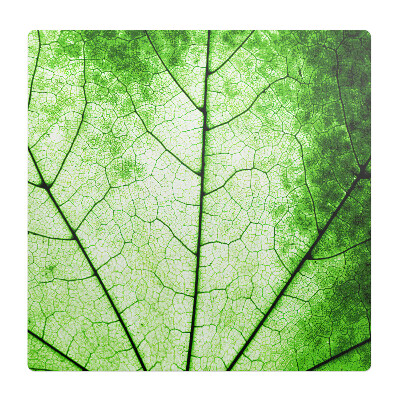 Podložka pod židli Struktura listových žil