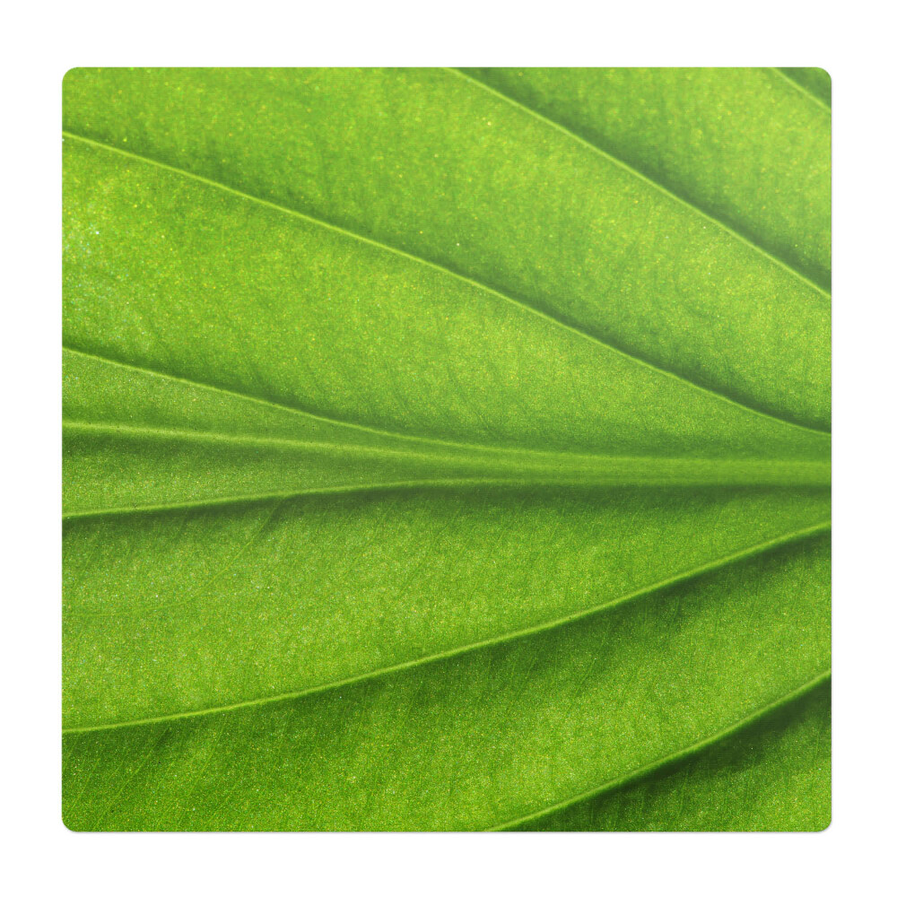 Podložka pod židli List zblízka