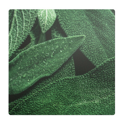 Podložka pod židli Listy zblízka