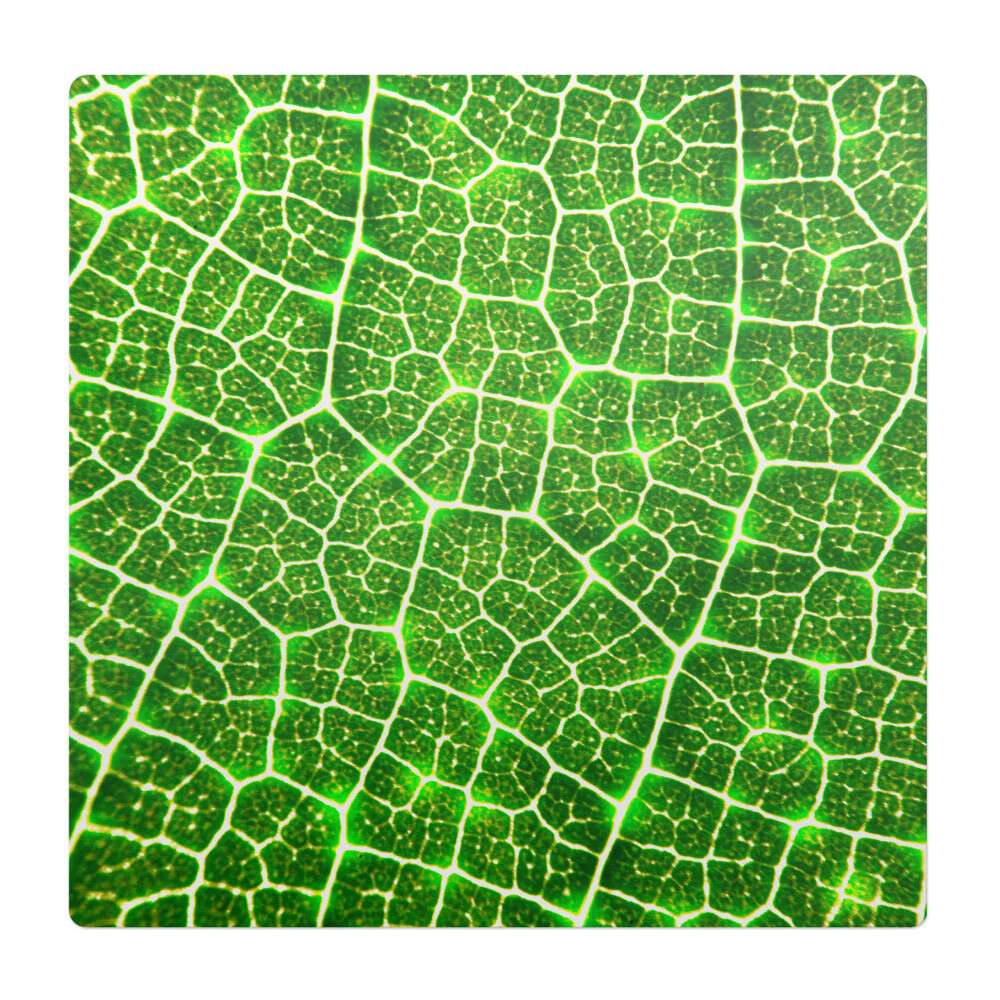 Ochranná podložka na podlahu Detail listu