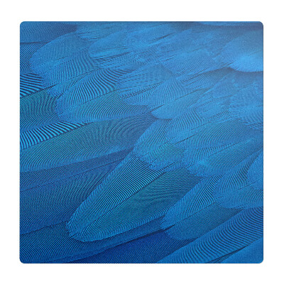 Ochranná podložka pod židli Ptačí peří zblízka