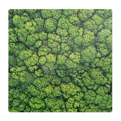 Ochranná podložka na podlahu Mozaika lesních stromů