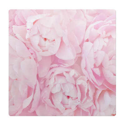 Podložka pod židli Pastelové pivoňky