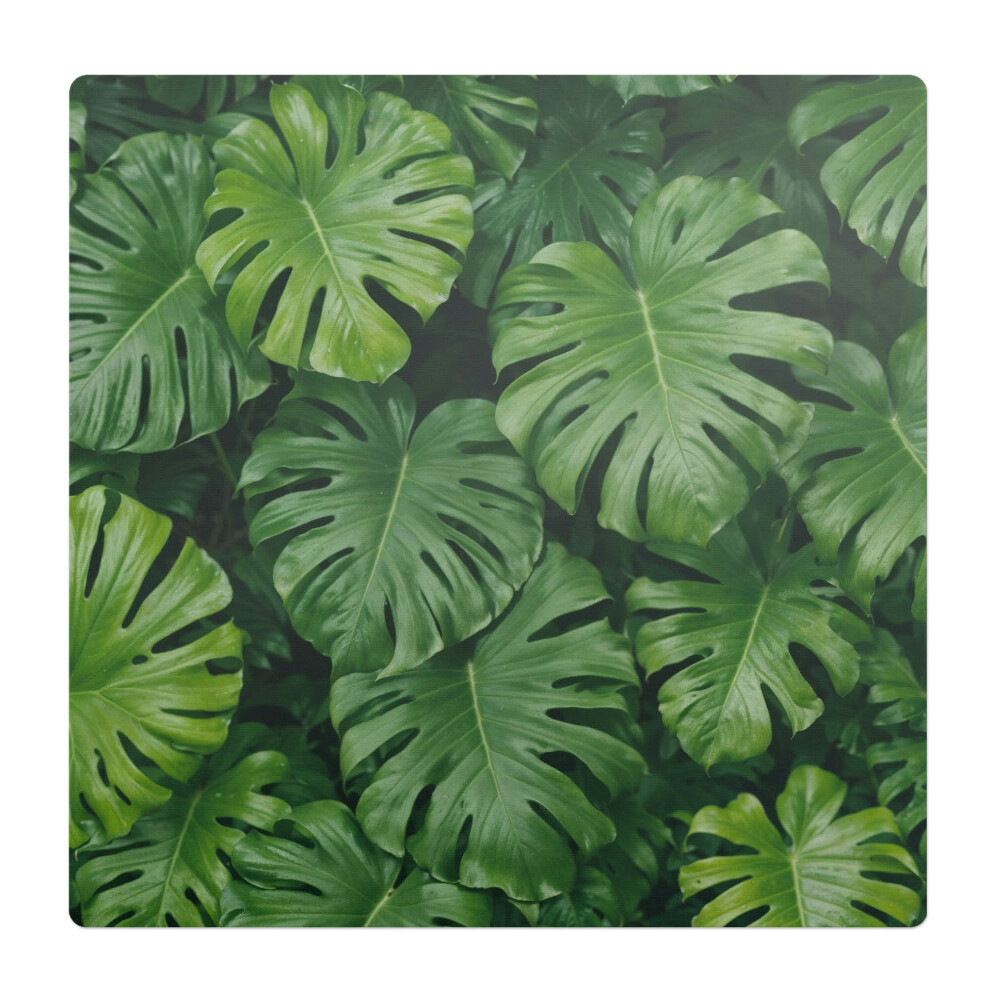 Podložka pod židli Listy monstery