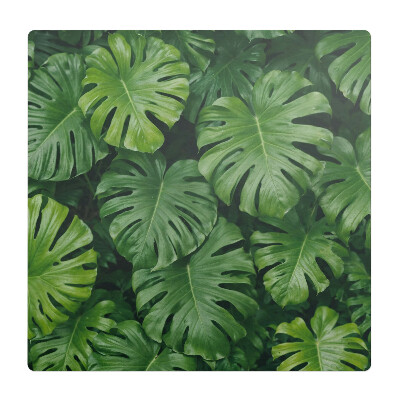 Podložka pod židli Listy monstery