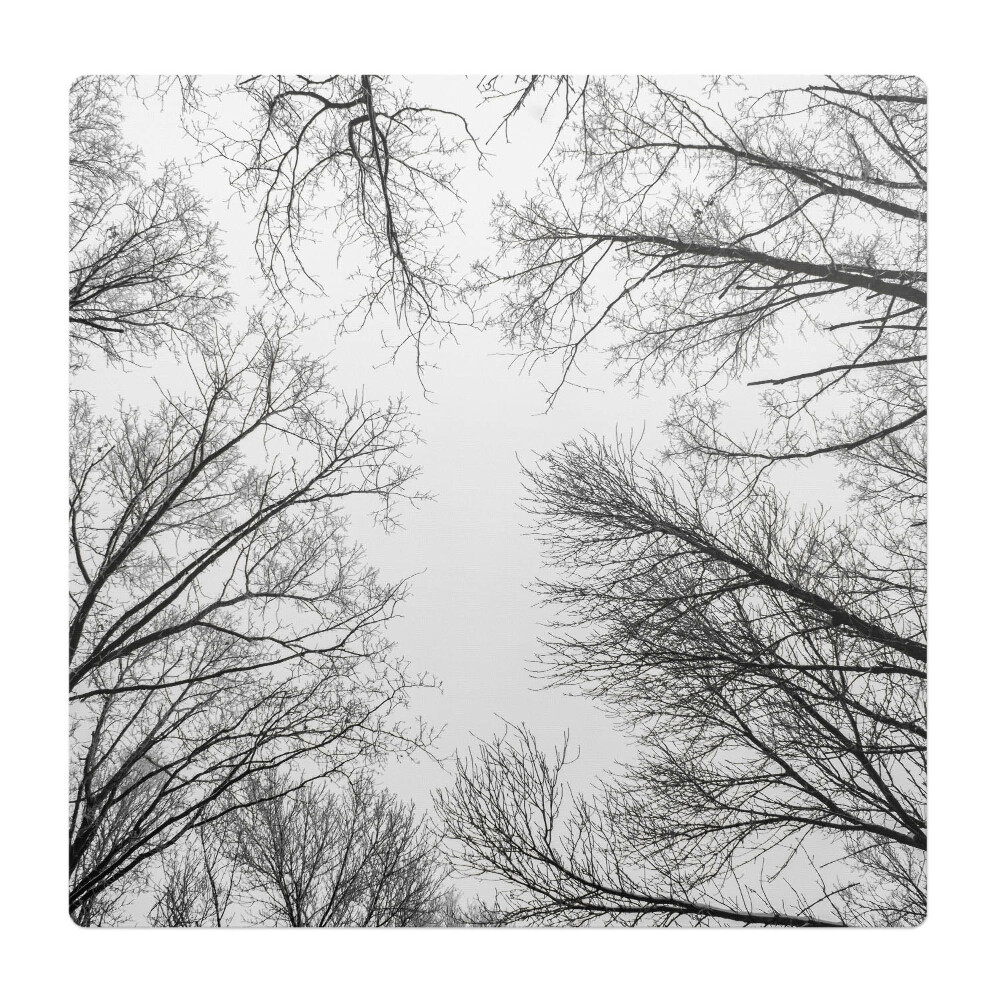 Podložka pod křeslo Holé větve stromů