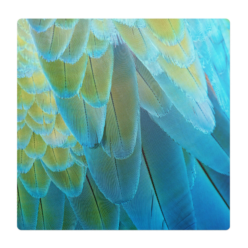 Ochranná podložka pod židli Ptačí peří zblízka