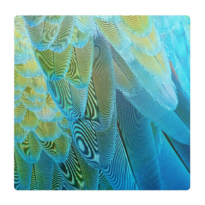 Ochranná podložka pod židli Ptačí peří zblízka