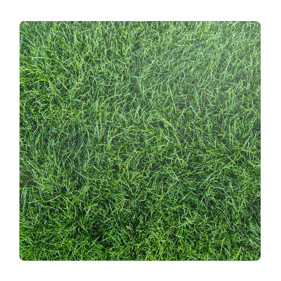 Ochranná podložka pod židli Šťavnatá tráva