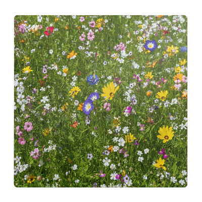 Podložka pod židli Květnatá louka