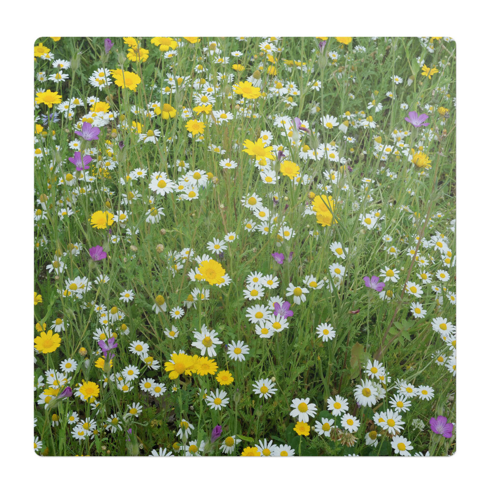 Podložka pod křeslo Květnatá louka