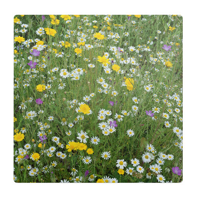 Podložka pod křeslo Květnatá louka