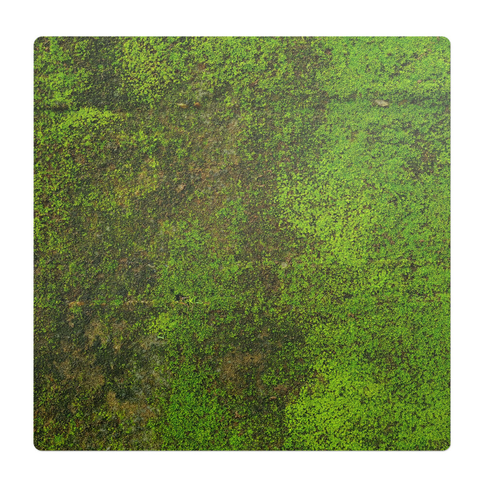 Podložka pod židli Mech na povrchu