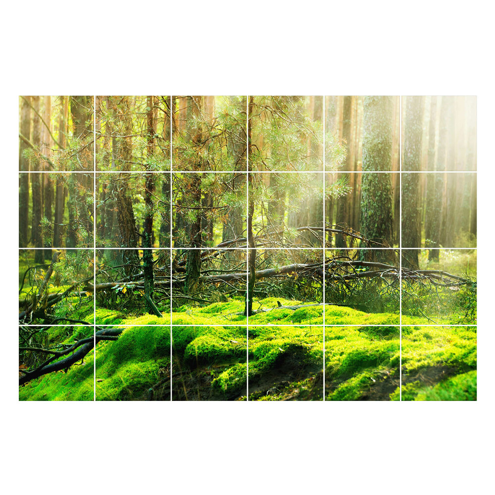 Nálepka na dlaždice Zelený les s mechem