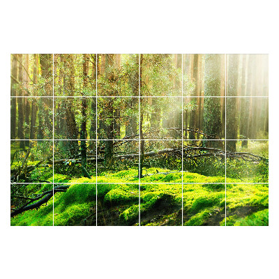 Nálepka na dlaždice Zelený les s mechem