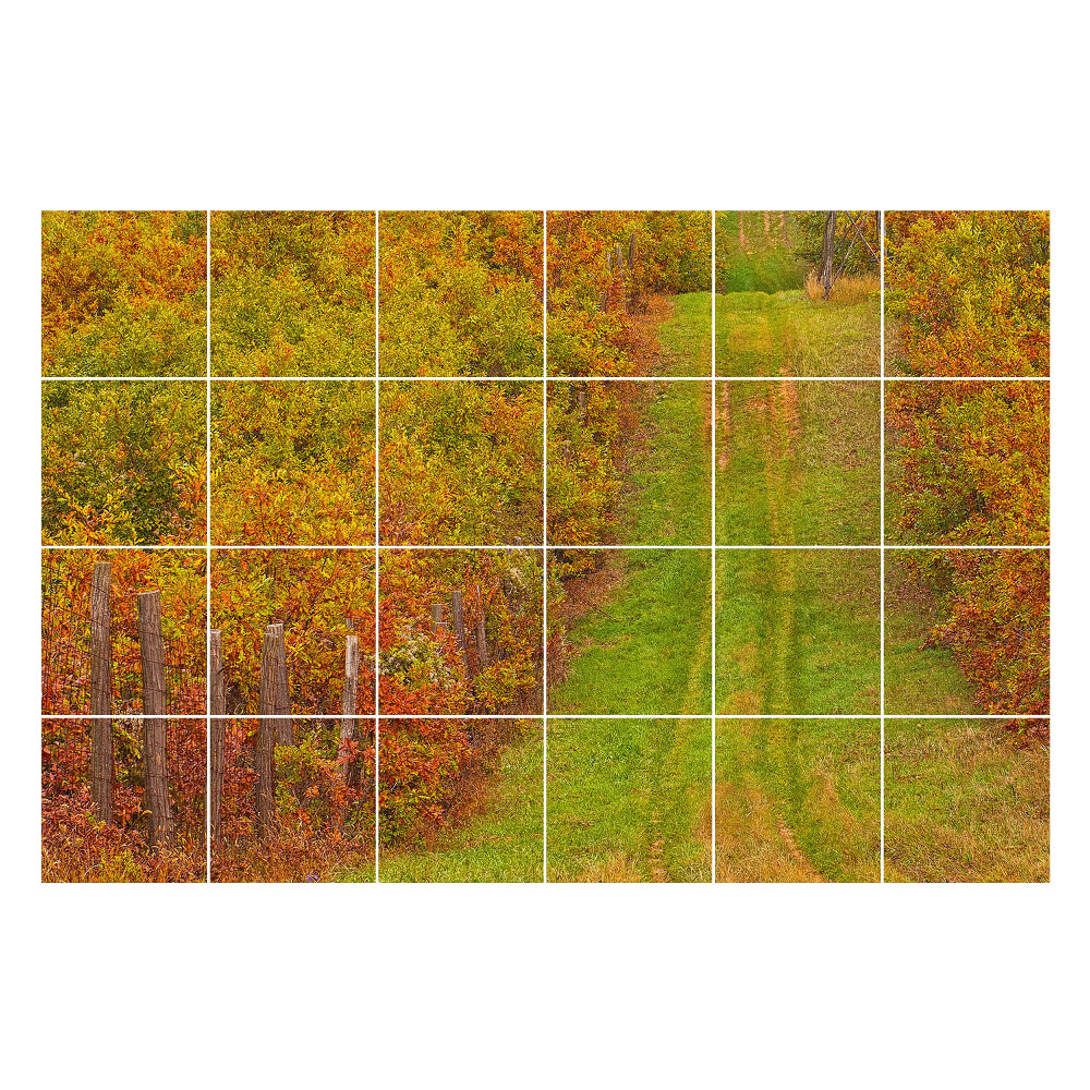 Nálepka na dlaždice Podzimní stezka v přírodě