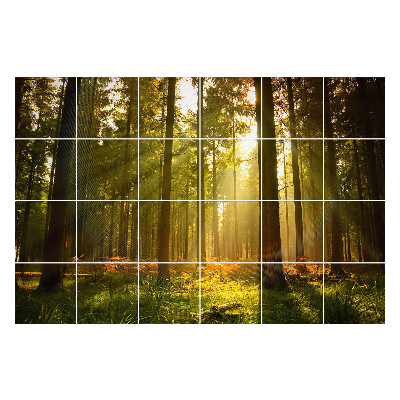 Samolepka na dlaždice Sluneční paprsky v lese