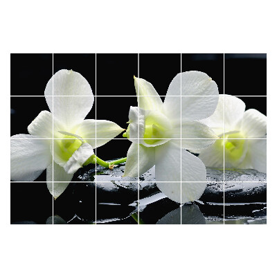 Nálepka na dlaždice Květiny na vodě