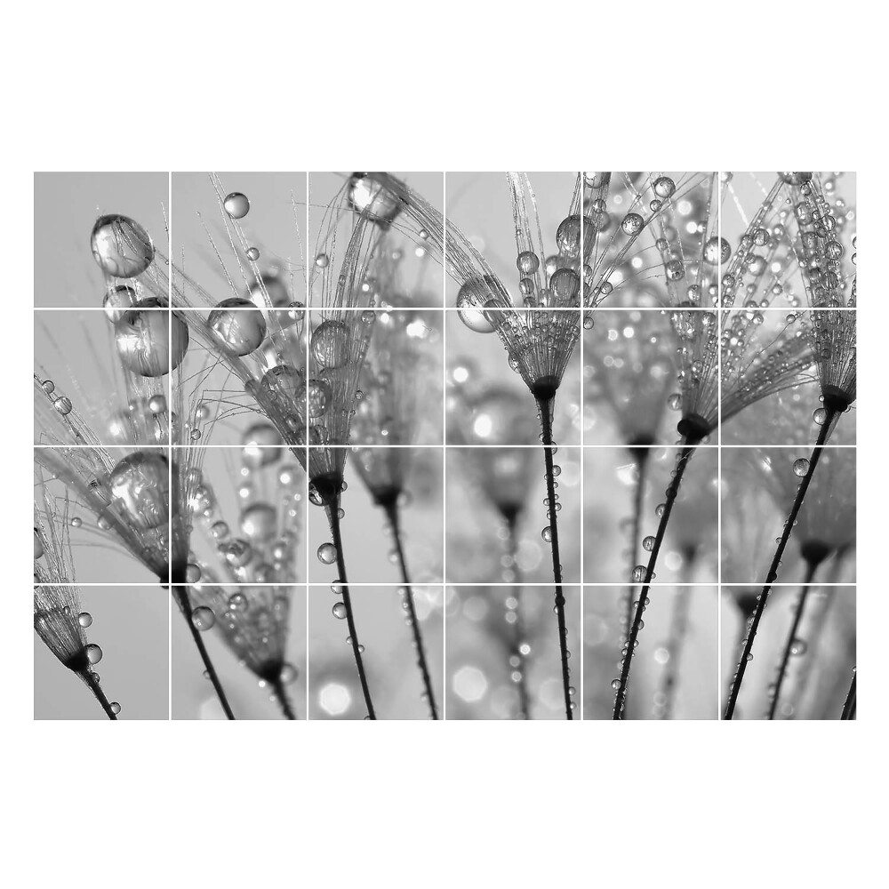 Samolepka na dlaždice Kapky na jemných stoncích