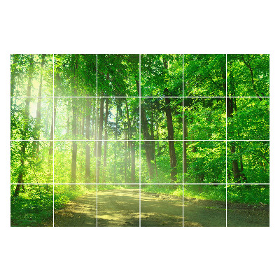 Nálepka na dlaždice Lesní cesta v paprscích