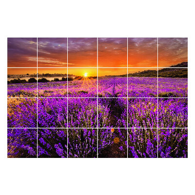 Samolepka na dlaždice Květinová krajina při západu slunce