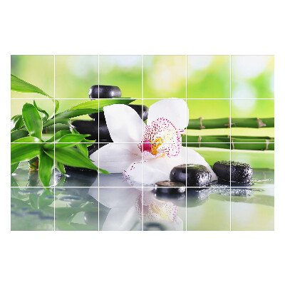 Samolepka na dlaždice Květiny a kameny v harmonii