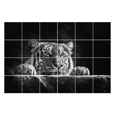 Nálepka na dlaždice Detailní záběr na tygra