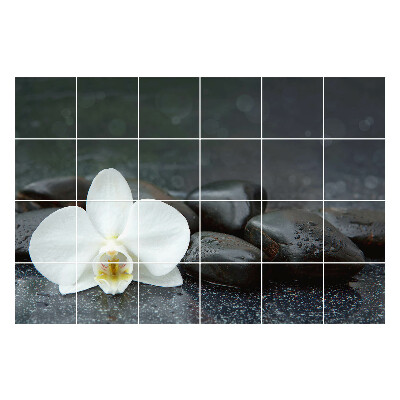 Nálepka na dlaždice Květina na vodních kamenech