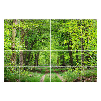 Samolepka na dlaždice Lesní cesta v přírodě