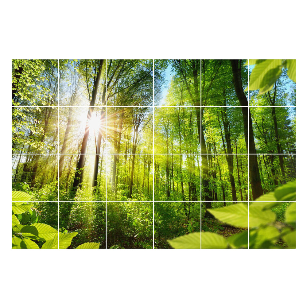 Samolepka na dlaždice Sluneční paprsky v lese