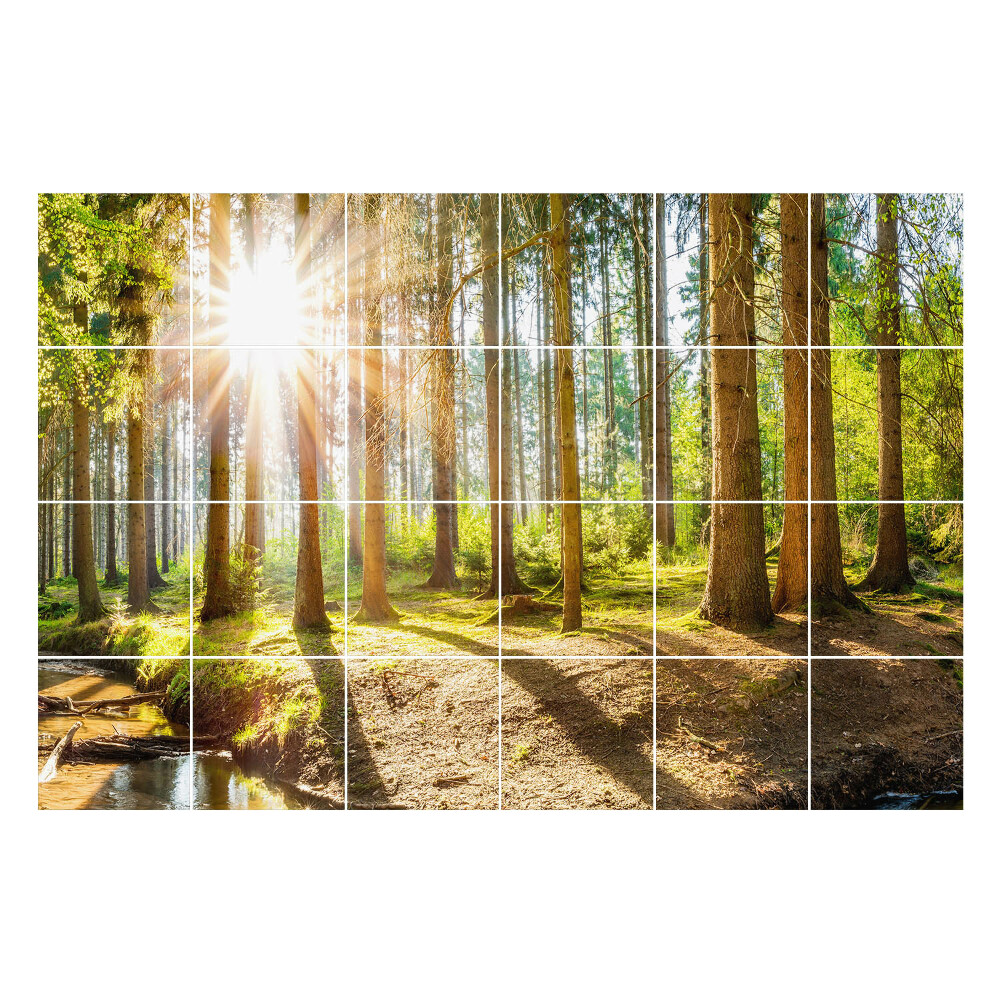 Samolepka na dlaždice Lesní scenérie s paprsky