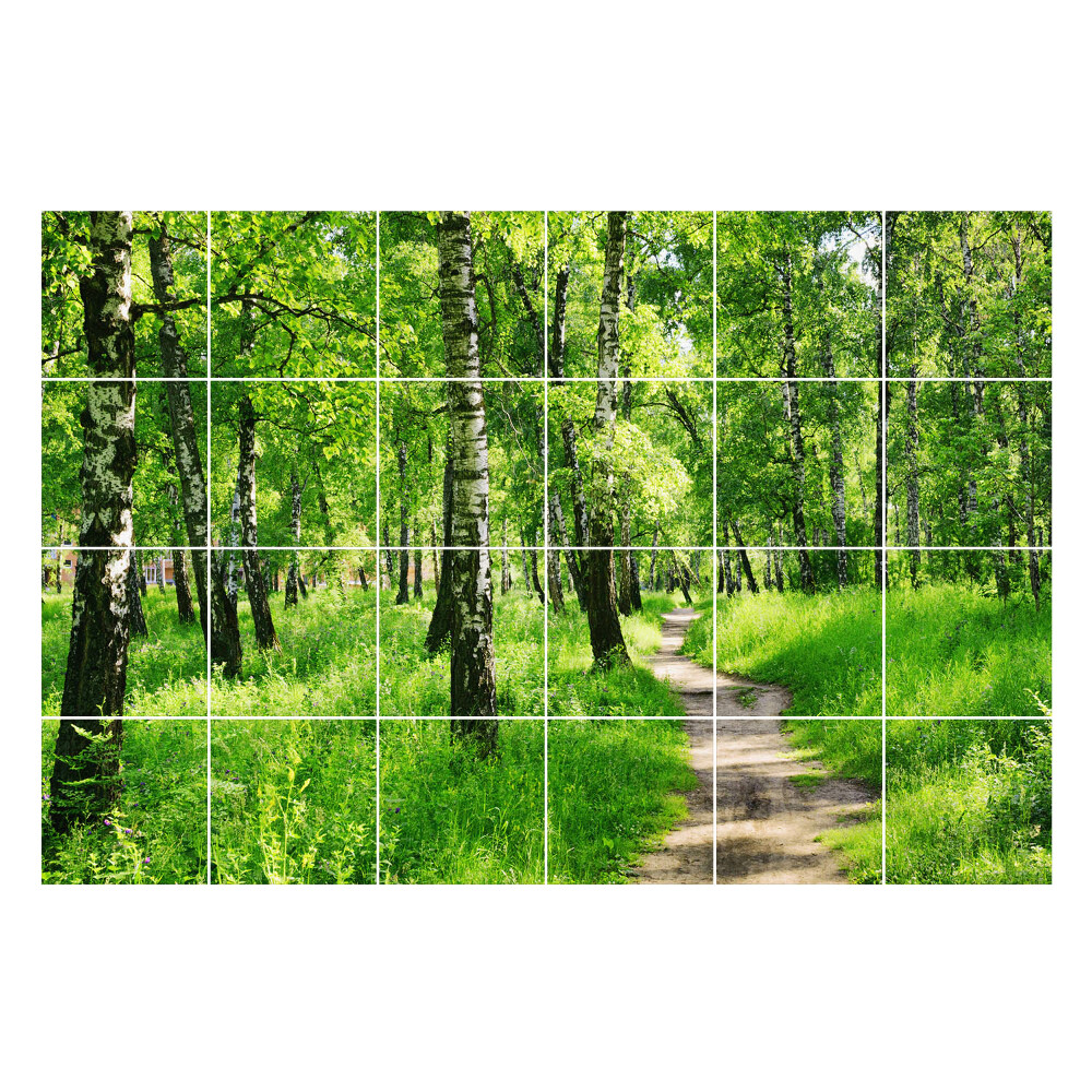 Nálepka na dlaždice Lesní cesta v přírodě