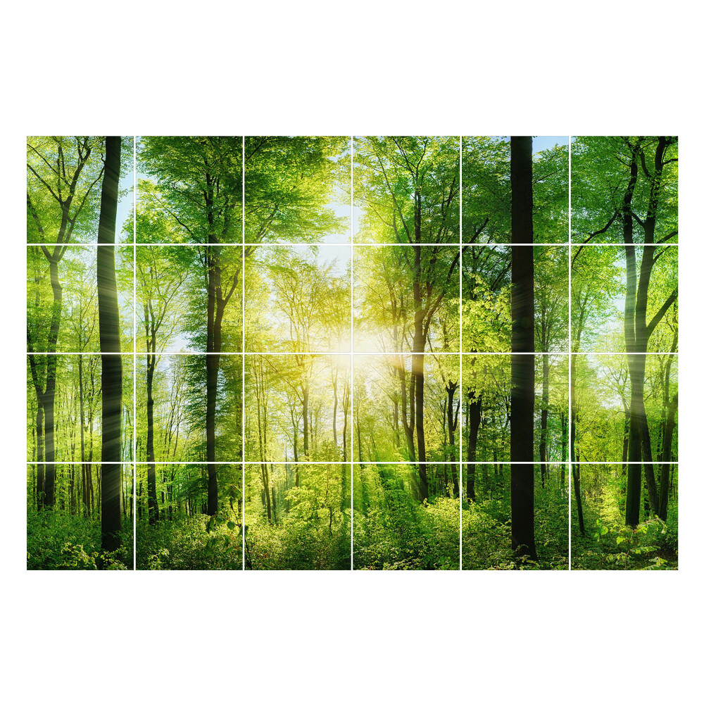 Samolepka na dlaždice Zelený les s paprsky