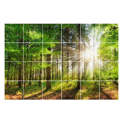 Nálepka na dlaždice Sluneční paprsky v lese