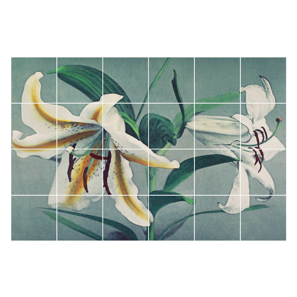 Nálepka na dlaždice Květinové aranžmá z lilií