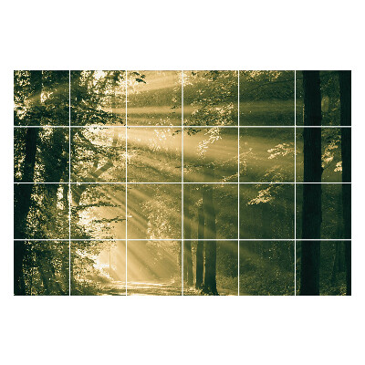 Nálepka na dlaždice Paprsky světla v lese