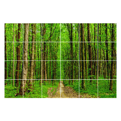 Nálepka na dlaždice Zelená lesní stezka