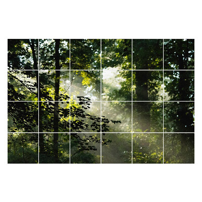 Samolepka na dlaždice Paprsky světla v lese