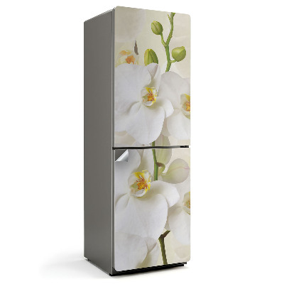 Fototapeta na chladničku Květinové detaily orchideje