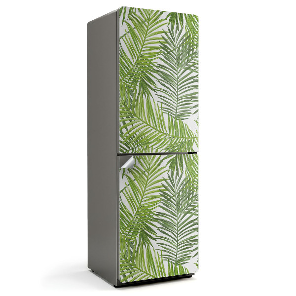 Fototapeta na chladničku Listy tropických rostlin