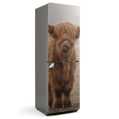 Fototapeta na chladničku Mladý dobytek v mystické mlze