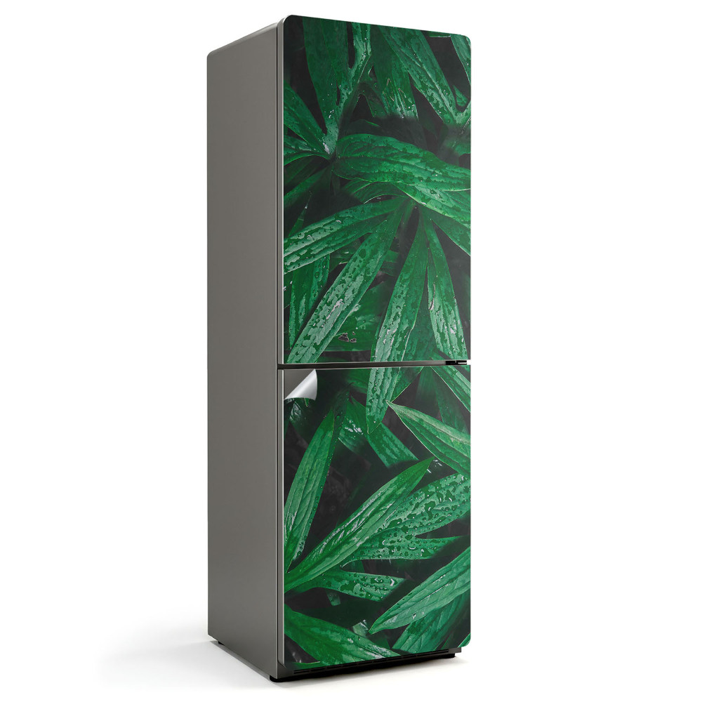 Nálepky na chladničku Listy s kapkami vody