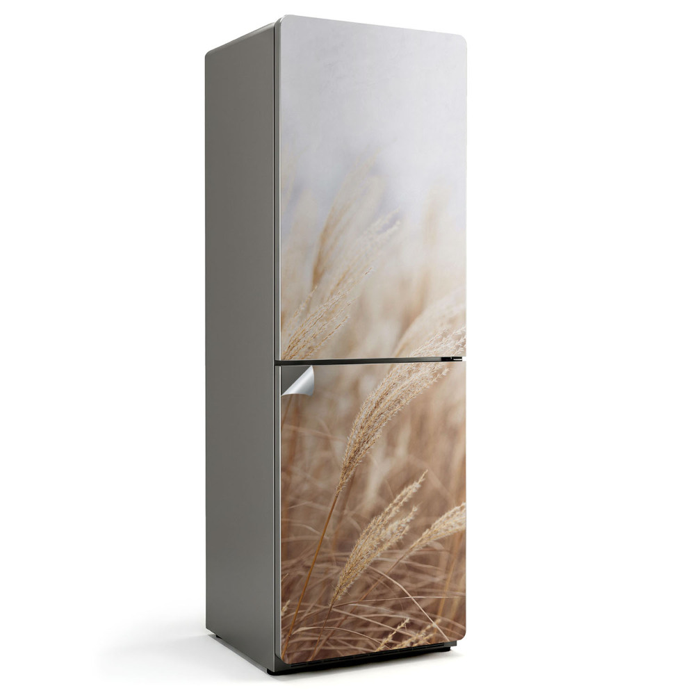 Fototapeta na chladničku Slunečná stébla trávy