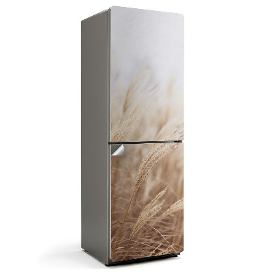 Fototapeta na chladničku Slunečná stébla trávy